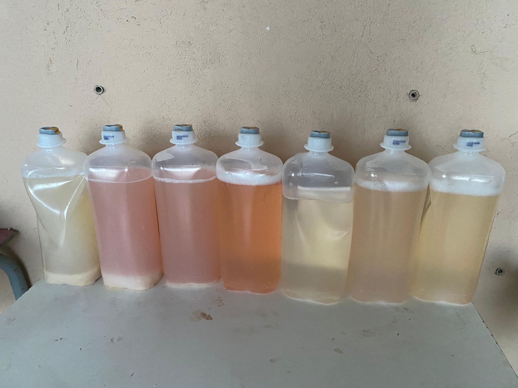 servicios_veterinarios_aldebaran_rubio (13)