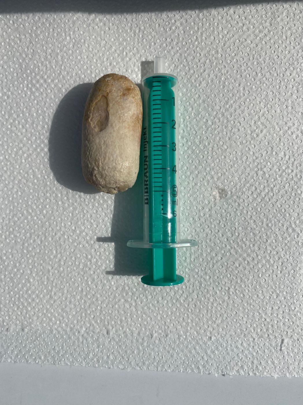 servicios_veterinarios_aldebaran_rubio (7)