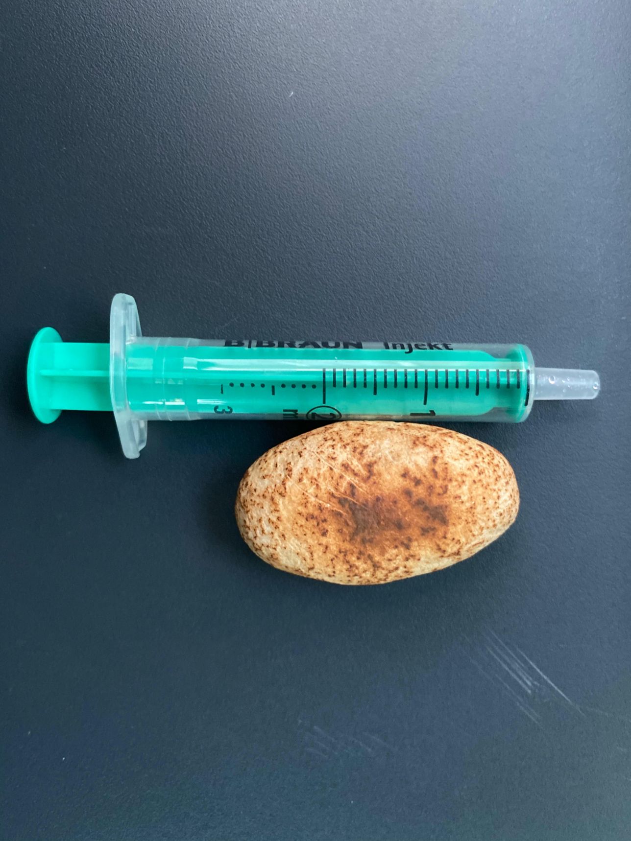 servicios_veterinarios_aldebaran_rubio (8)