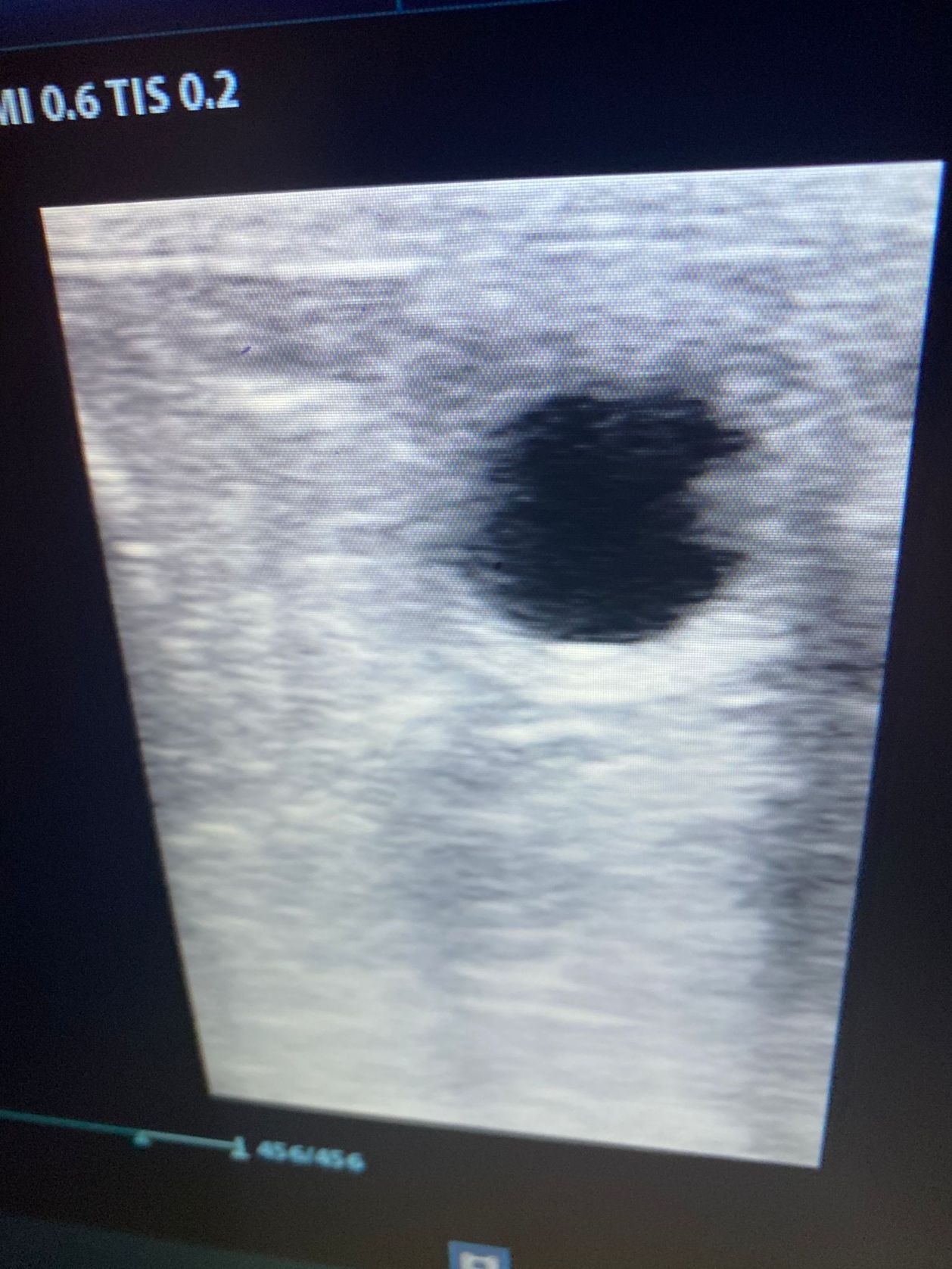 servicios_veterinarios_aldebaran_rubio (9)